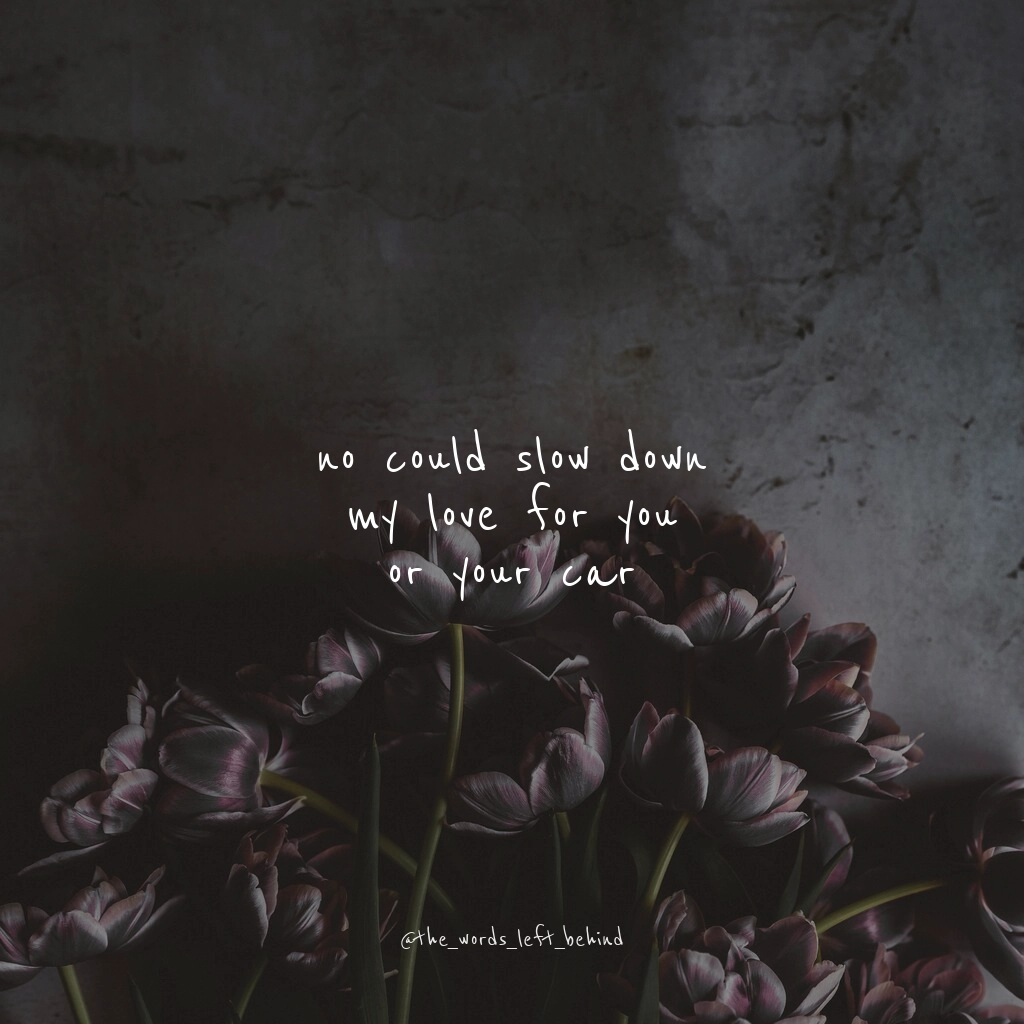 Submission by echo_of_silence