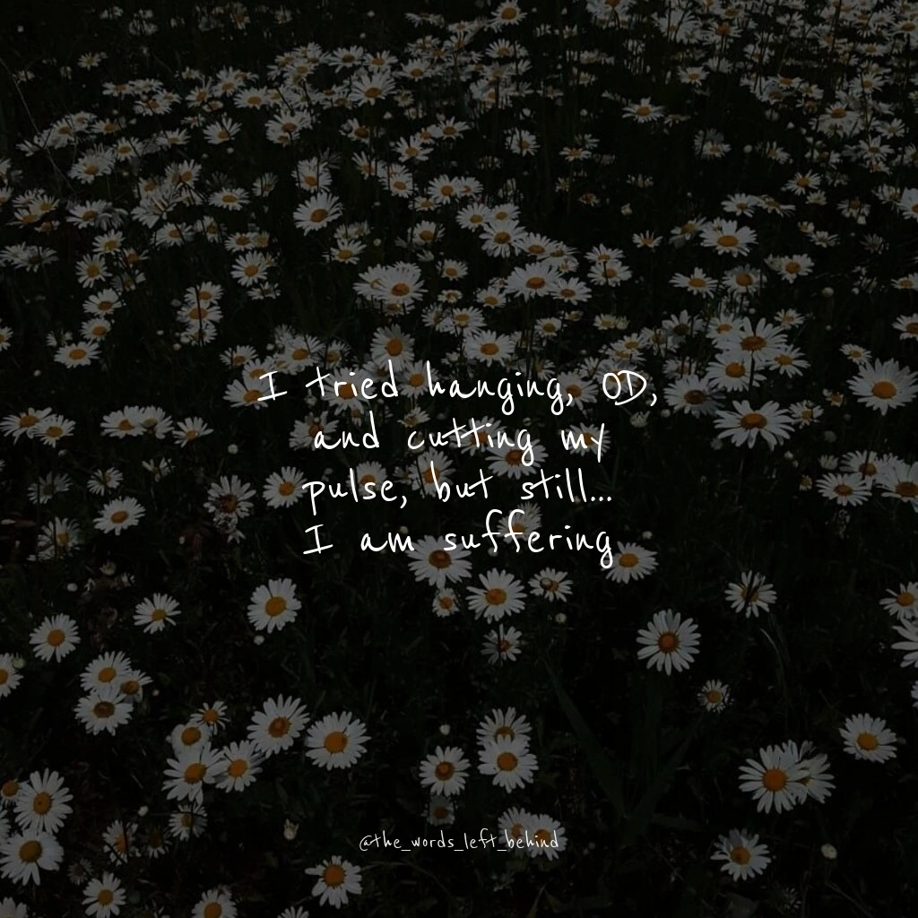 Submission by echo_in_the_dark